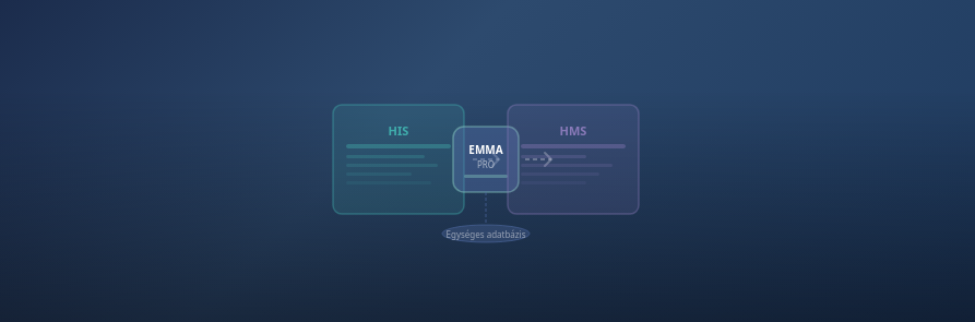 HIS vs HMS: mi a különbség és miért kell mindkettő egy modern egészségügyi intézménynek?